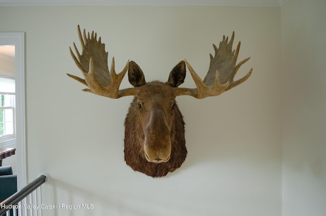 room details featuring crown molding