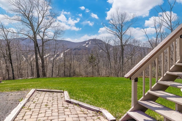 213 Botti Dr, Hunter, NY 12442 - view of green lawn featuring a mountain view and a view of trees