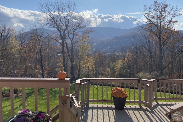 213 Botti Dr, Hunter, NY 12442 - mountain view with a forest