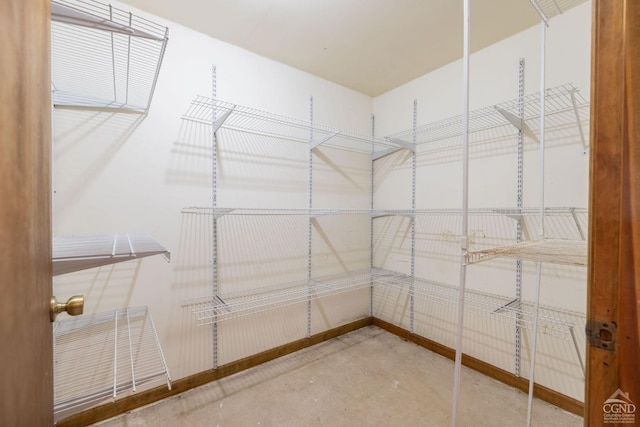 213 Botti Dr, Hunter, NY 12442 - view of walk in closet