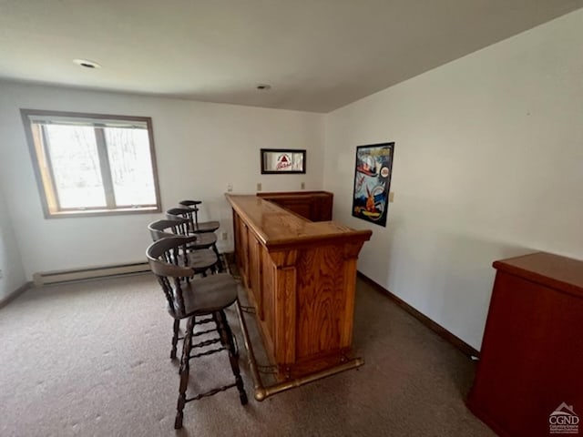 213 Botti Dr, Hunter, NY 12442 - indoor dry bar with a baseboard radiator and carpet