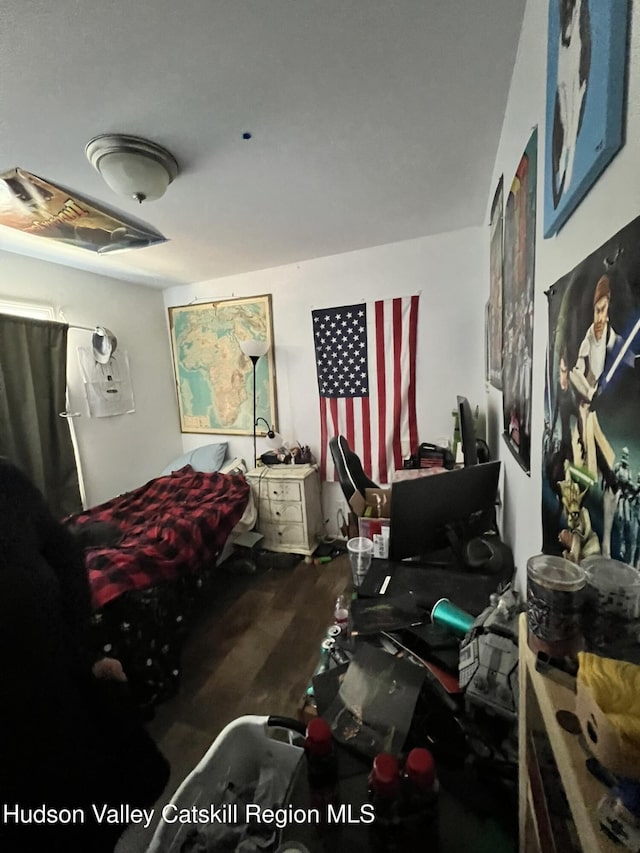 370 Highmount Rd, New Baltimore, NY 12124 - bedroom featuring wood finished floors
