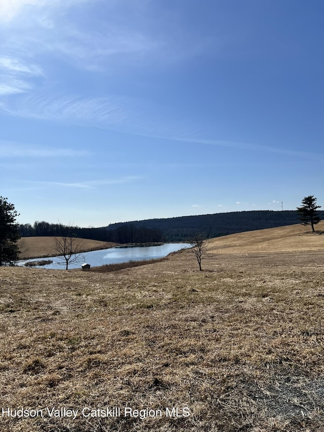 370 Highmount Rd, New Baltimore, NY 12124 - water view