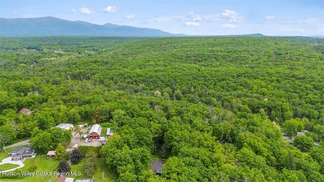 66 Hill Rd, Kingston, NY 12401 - photo 24