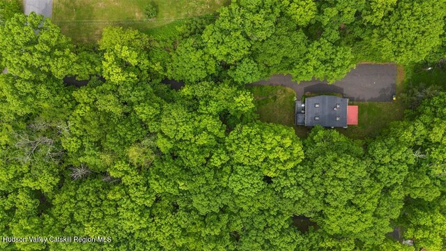 66 Hill Rd, Kingston, NY 12401 - photo 4