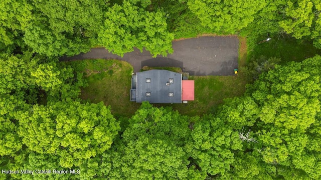 66 Hill Rd, Kingston, NY 12401 - photo 5