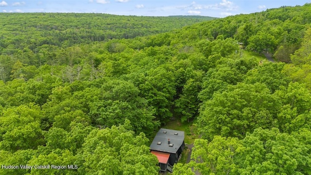 66 Hill Rd, Kingston, NY 12401 - photo 25