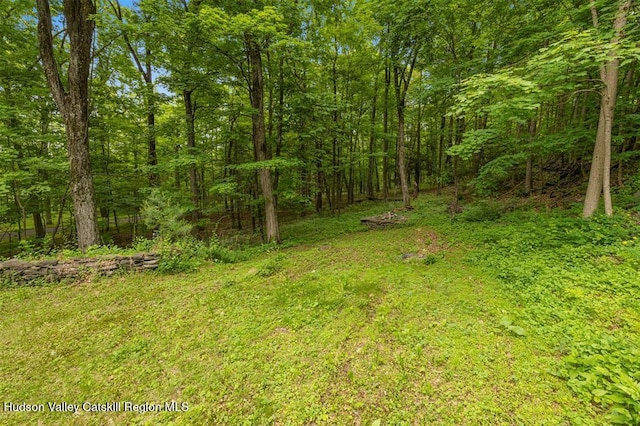 66 Hill Rd, Kingston, NY 12401 - photo 19