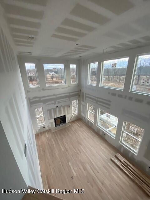 unfurnished living room featuring hardwood / wood-style flooring and a healthy amount of sunlight