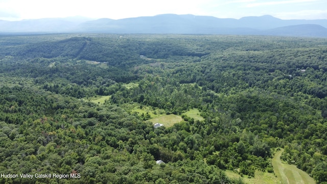 86 Paul Horn Rd, Catskill, NY 12414 - photo 3