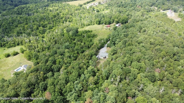86 Paul Horn Rd, Catskill, NY 12414 - photo 2