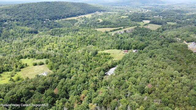 86 Paul Horn Rd, Catskill, NY 12414 - photo 36