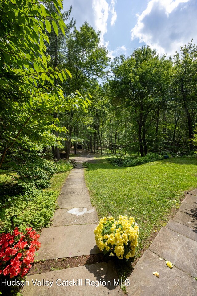 159 Pine Ln, Saugerties, NY 12477 - view of green lawn