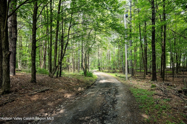 159 Pine Ln, Saugerties, NY 12477 - view of street with a wooded view