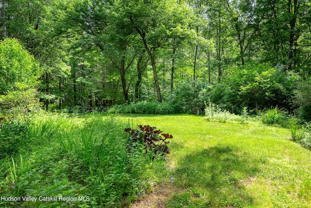 159 Pine Ln, Saugerties, NY 12477 - view of yard featuring a forest view