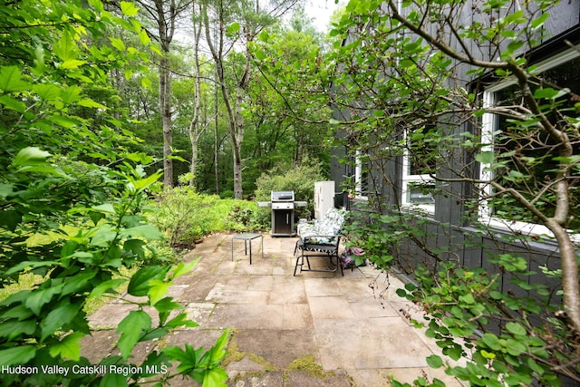 159 Pine Ln, Saugerties, NY 12477 - view of patio / terrace with a grill