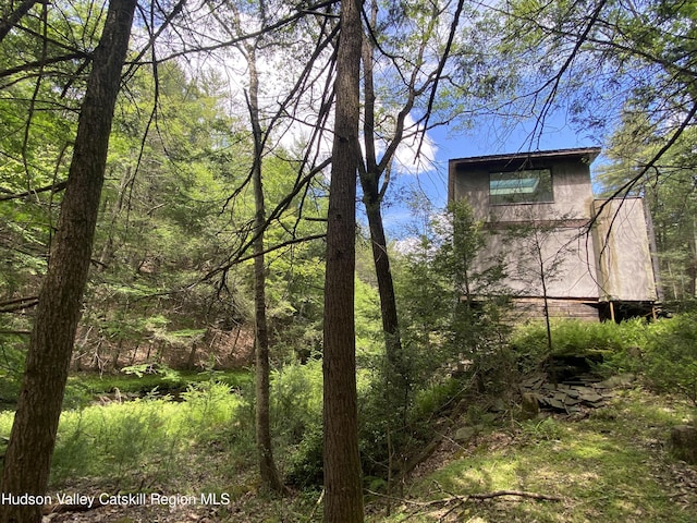 281 Dewitt Rd, Olivebridge, NY 12461 - photo 15