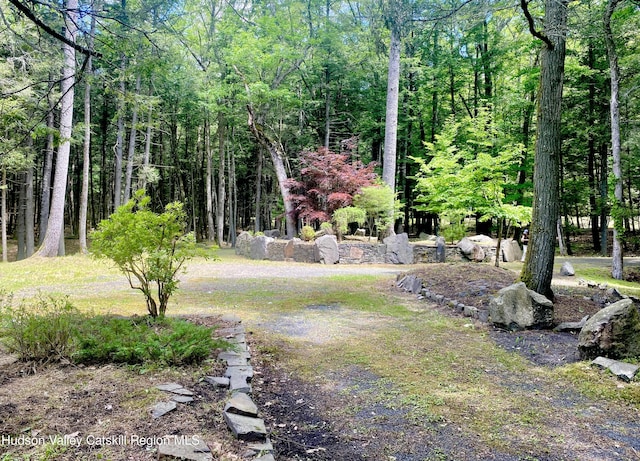 281 Dewitt Rd, Olivebridge, NY 12461 - photo 8