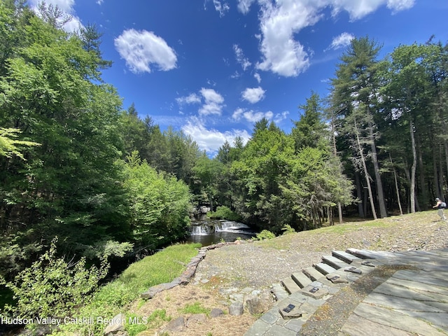 281 Dewitt Rd, Olivebridge, NY 12461 - photo 19