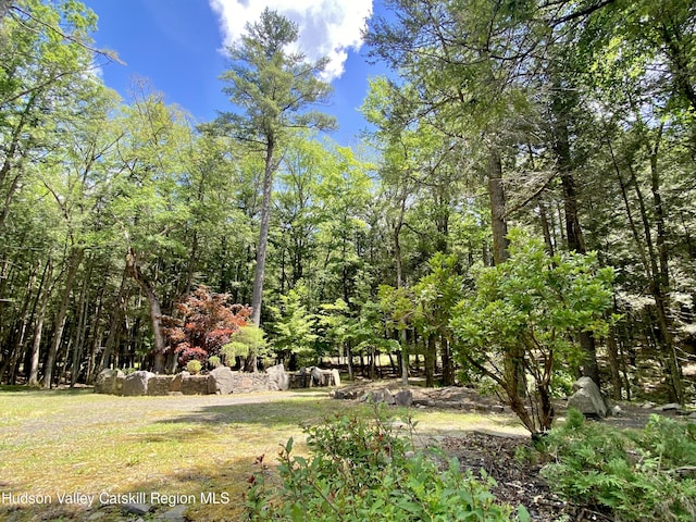 281 Dewitt Rd, Olivebridge, NY 12461 - photo 21