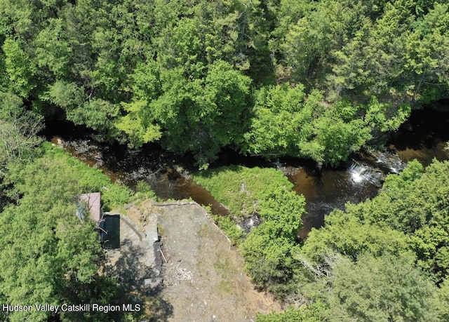 281 Dewitt Rd, Olivebridge, NY 12461 - photo 30