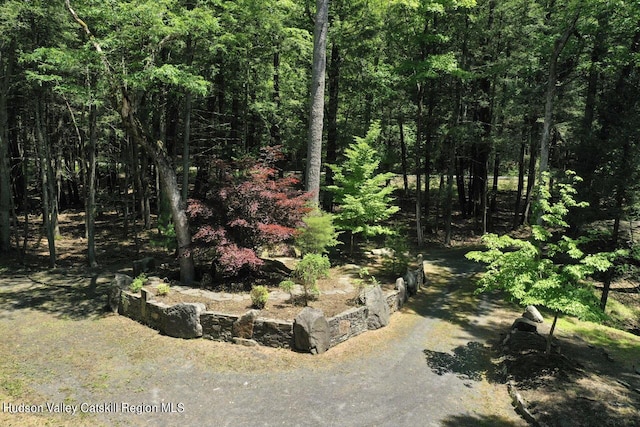 281 Dewitt Rd, Olivebridge, NY 12461 - photo 28