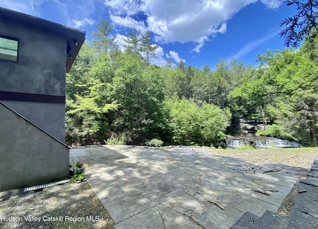 281 Dewitt Rd, Olivebridge, NY 12461 - photo 13
