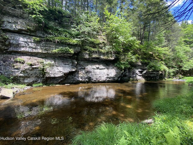 281 Dewitt Rd, Olivebridge, NY 12461 - photo 2