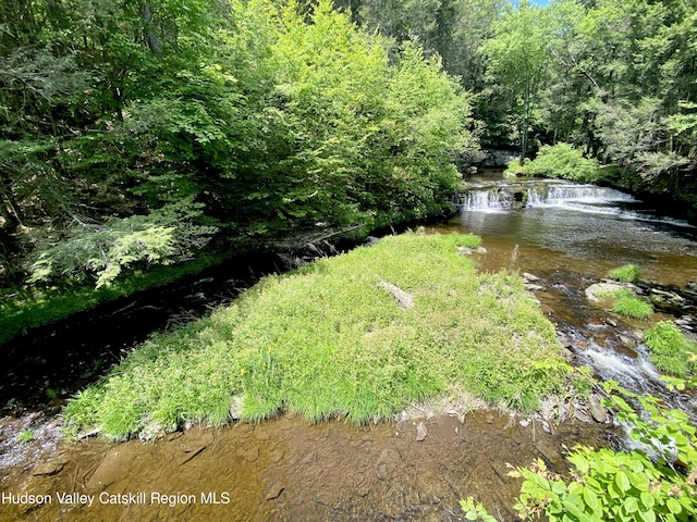 281 Dewitt Rd, Olivebridge, NY 12461 - photo 20