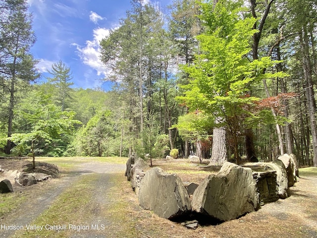 281 Dewitt Rd, Olivebridge, NY 12461 - photo 27