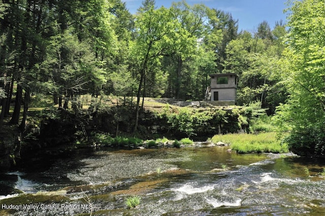 281 Dewitt Rd, Olivebridge, NY 12461 - photo 11