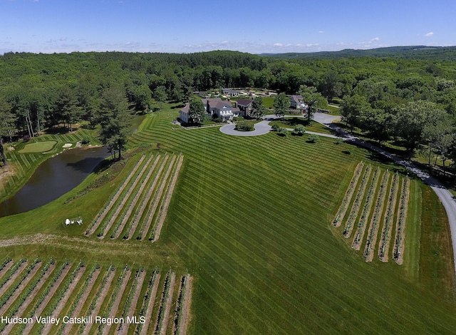 309 Woodstock Rd, Millbrook, NY 12545 - photo 51