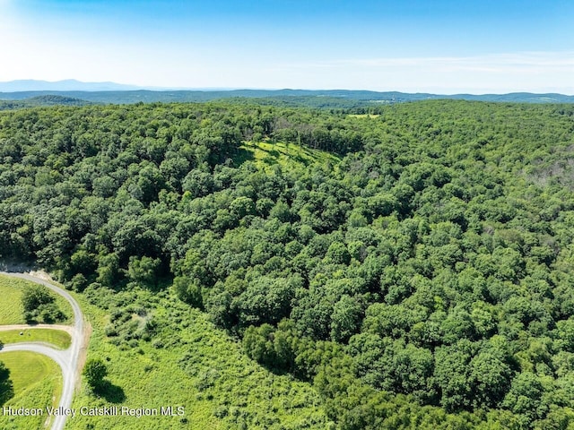 0 High Meadow Rd, Copake, NY 12516 - photo 4