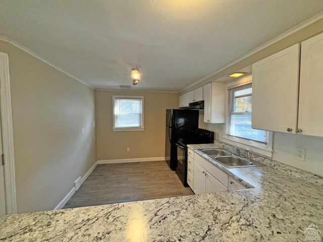 174 Grandview Ave, Catskill, NY 12414 - kitchen featuring black range with electric cooktop, a sink, crown molding, wood finished floors, and white cabinets