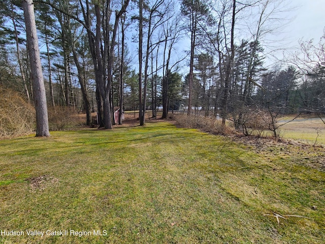 493 Old Taylor Rd, Jeffersonville, NY 12748 - photo 33
