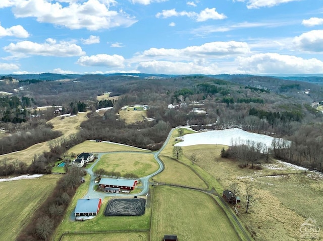 311 County Route 13, Old Chatham, NY 12136 - aerial view of a forest