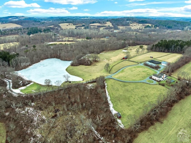 311 County Route 13, Old Chatham, NY 12136 - view of rural area