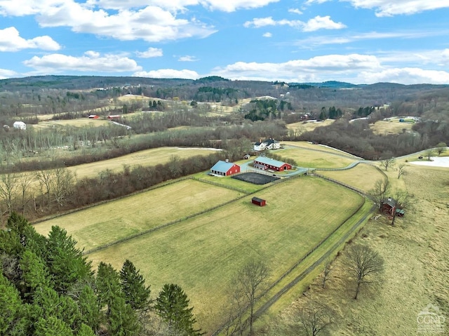 311 County Route 13, Old Chatham, NY 12136 - overview of rural landscape