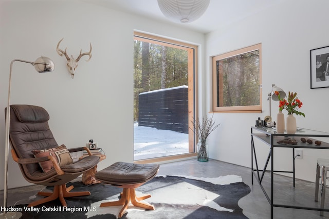 living area featuring finished concrete flooring