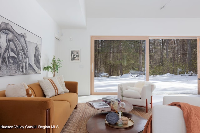 view of carpeted living area