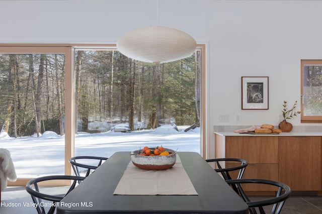 view of dining area