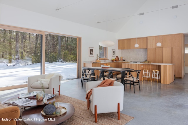 living room featuring concrete flooring and high vaulted ceiling