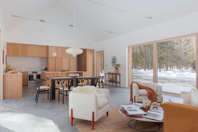 living room with finished concrete flooring and high vaulted ceiling