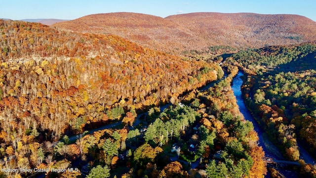 view of mountain feature