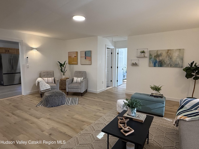 living room featuring light hardwood / wood-style flooring