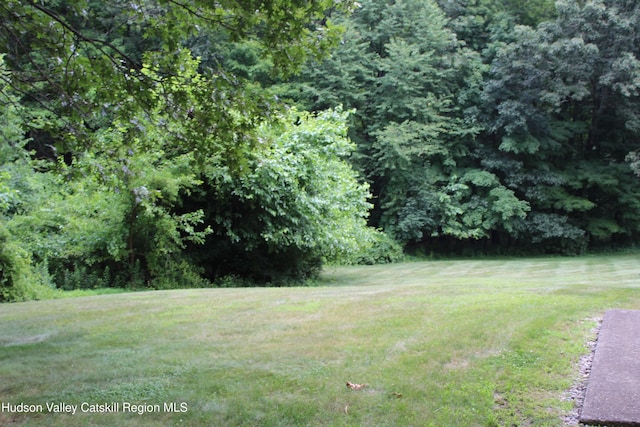 58 Elisa Landi Dr, Kingston, NY 12401 - photo 24
