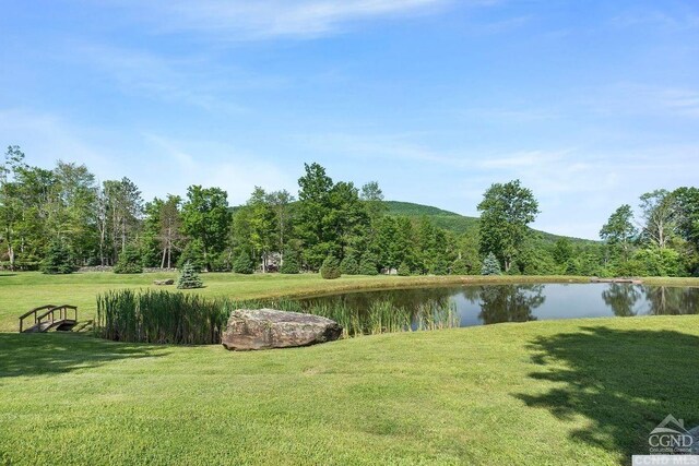 33 Elm Ridge Rd, Windham, NY 12496 - surrounding community featuring a water view and a lawn