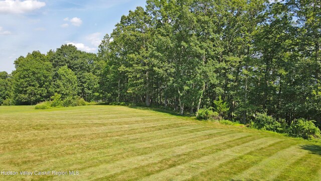 10 Heather Rdg, Woodbury, NY 10930 - photo 37