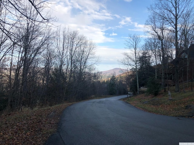 0 Club Rd, Windham, NY 12496