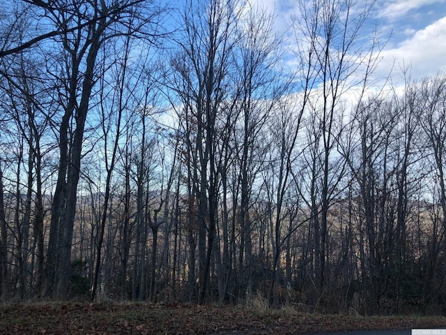 0 Club Rd, Windham, NY 12496
